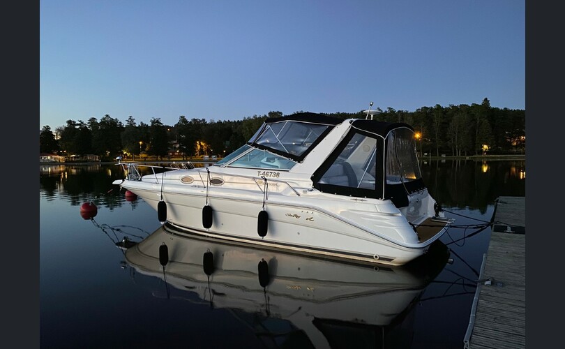 Sea Ray Sundancer 290-kuva-1
